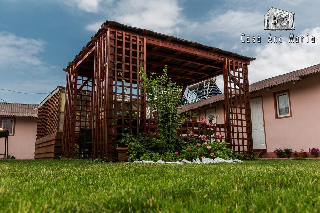 Вилла Casa Ana Maria Вама-Веке Экстерьер фото